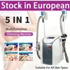 Cyro Fat Freeze Machine 진공 캐퍼 캐비테이션 슬리밍 장비 Lipo Laser Losse 체중 RF 스킨 회사 2 핸들 냉동 질량 분해기 6 in 1