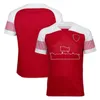 F1 Formel 1 Kurzarm-T-Shirt, neuer Rennanzug, Sport-Rundhals-T-Shirt, individueller Stil, großes Polyester, schnell trocknend313D