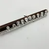 High Quality flute 17 hole Open Silver Plated Rosewood Key E key B Foot Professional Musical instrument With case