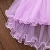 Girl's Dresses AmyaBaby Baby Girl Flower Princess 1st Birthday Dress Little Girls Clothing Summer Infant ClothesGirl's