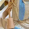 Handbags Designer Bag Woman Shoulder Bags Nylon Straw Knitting Underarm Fashion Hobo Combo Canvas Womens Luxury Handbag Tote bag Wallet