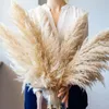 80CM Pampas Grass Large Super Fluffy Fiori secchi naturali Bouquet Decor Crema Colore Fiori matrimonio Decorazioni Regalo di Natale 220406