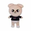 Plush Toys Stray Kids 20cm Cartoon Stuffed Animal Plushies Doll Bbokari Leebit Wolf Chan Puppym Kids Adults Fans Gift6332851