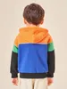 Veste polaire à capuche patchée 3D brodée avec slogan colorblock pour tout-petits garçons SHE