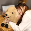 35/75cm cute labrador retriever plush toy cartoon animal lying dog plush doll girl sleeping soft pillow child comfort toy Christma332a