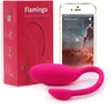 NXY Vibrators Magic Motion G Spot Sex Toy Clitoris Vibrator App Flamingo Afstandsbediening Smart Vagina Massager voor Vrouw 0411