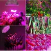 LED Phyto Lights Full Spectrum 30W 50W 80W E27 LED Grow Light Fitolampy Bulbs 5730 SMD 28 40 78 120LEDs Lamp For Plants Seeding