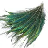 10pcs Wholesale Beautiful Natural Other Arts and Crafts Peacock Feather Sword Wedding Home Vase Party Accessories Big Eye Peacock Plumes