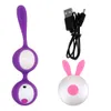 OLO Smart Kegel Ball Vibrator Vagina Tighten Exercise Wireless Remote Control Vaginal G-Spot Vibrators sexy Toys for Women