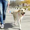 Kişiselleştirilmiş Özel Köpek Yakası tasma Set Baskılı Graved Idtag Yaka Pet Tedavisi Çanta Çantası Küçük Orta Büyük Köpekler için Atıştırmalık Çanta 220608