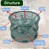Accessori per la pesca Gabbia per trappole a rete automatica Pieghevole rete di forma rotonda Gamberetti Cast per granchi Catcher di gamberi Dip CagePesca