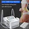2 In 1 cryolipolyse EMS Cryotherapy Machine 4 platen kunnen samenwerken Vet bevriezen gewichtsverlies schoonheidsapparatuur
