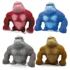 15cm Great Orangutan Squeeze Vent Doll Stress Relief Squeezing Animals Toys Children High Elastic Gorilla Toy Gift 25957799