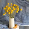 Decorative Flowers Wreaths 20Pcs Craspedia Billy Ball Natural Dried Bouqet Arrangement In Vase Preserved For Decoration Wedding Home Drop