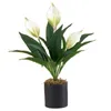 UNE fausse fleur Anthurium (7 têtes/bouquet) 17 "de longueur Simulation flamant rose en plastique pour mariage maison fleurs artificielles décoratives