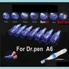 1/3/5/7/9/12/36/42/Nano Pin Dermapen 팁 충전식 무선 DR PEN TIMA A6 바늘 카트리지 드롭 배달 2021 영구 메이크업 바늘