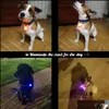 Wholesale Pet Night Safety LED懐中電灯襟犬ガイドライト輝くペンダントネックレス発光明るいドロップデリバリー2021タグイドカード