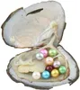6-8mmナチュラルカラフルな淡水真珠の細かい丸い染色パールビーズジュエリーオイスターパールDIY強いライトハイラスター