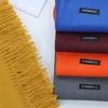 Bandane Autunno Inverno Coreano Escursionismo all'aperto Addensato Uomini caldi Sciarpa Donna Imitazione Cashmere Tinta unita Versatile SciarpaBandane