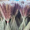 30pcs 45cm Pampas de caña orejas de trigo de conejo césped de la cola de conejo flores secas decoración de bodas heno para fiesta bohemian home301020696