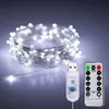 Strings Christmas Fairy Lights USB Remote Control 5m 10m 20m LED Waterdichte decoratieve koperdraad Halloween Party String Lichtslip