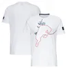 F1 Formula One Racing Suit T-shirt à manches courtes 2022 Costume d'équipe Fan de voiture RB18 T-shirt à col rond personnalisé