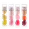 Makeup Sponge Egg Cushion Puff Dry and Wet Combined Foundation Cosmetic Soft Sponges Make Up Tools For Women Or Girls