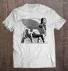 Camisetas masculinas assyrian alado Bull lamassu iraq lembrete de homem de homem camiseta masculina camisetas de camisetas de camisetas de camisetas Mild22