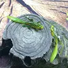 20pcs / lot 7.5cm 3G elliot grenouille silicone de pêche silicone lure baits doux baites Lures Pesca Tackle Accessories A063