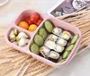 Lunch Box 3 Grid Wheat Straw Bento Bagsradable Transparent Lid Food Container For Work Portable Student Lunch Boxes Containers SN4389