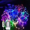 Saiten Weihnachten Lichterkette USB-Fernbedienung 5M 10M 20M LED wasserdicht dekorative Kupferdraht Halloween Party LichterkettenLED