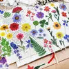 Geschenkwikkeling 40 -stcs/veel kleurrijke bloemenblad serie decoratieve journaalstickers planten plakteboek sticker label Diary plannergift cadeau