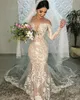 Champagne Wedding Dresses Boho Elegant Lace Mermaid Wedding Dress Illusion Neck Long Sleeves Country Garden Bridal Gowns