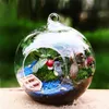 10Pcs Forma del globo Terrario di vetro trasparente Palla Fiore Appeso Fioriera Terrario Contenitore Paesaggio Ornamento Decorazioni da giardino 210409