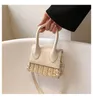 Borse a tracolla Francia Sac De Luxe Femme Trend Borsa da donna Designer Shopper Borsa Donna Tessuto Borse da spiaggia BolsosShoulder