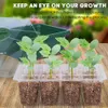12 Hole Seedling Trays Seed Starter Starter Plant Flower Grow Box Propagation For Gardening Grows Starting Germination Boxs planter