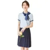 Others Apparel Summer women's dress stewardess uniform short sleeve suit aviation style professional hotel working wear