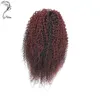 Cabelo Humano, Natural Curly Rabotail, Elastic Drawcord Afro Curly Buff com clipe