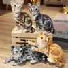 1Pc 2736Cm Simulation American Shortshark Siamese Cat Plush Toy Sofa Decor Cuddly Cushion Soft baby For ldren Gift J220729