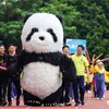 Maskotka Kostium Lalki Nadmuchiwane Niedźwiedź Polarny Panda Śmieszne Mascot Reklama Dostosuj dla Dorosłych Mascotte Kostiumy Adult Disfraz Mascota 2.6m 3