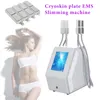 Multifunctionele cryo lipo pads laser 4 modus ems eenvoudig vet verlies afslank machine massage cryo -apparatuur