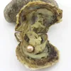 Andere 10-stcs/lot 9-12 mm Edison Big grote ronde Pearl Natural Pearls in zoutwater oester met vacuümverpakking verjaardagscadeau sieraden p0028 andere