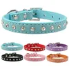 UPS Web célébrité TikTok 6 couleurs XS S M plus doux seude colliers de chien en cuir strass collier de chat pour petit animal chiot colliers