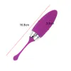 12 Fréquence Clitoris Stimulez le masseur vaginal G-Pot Wireless Wireless Remote Sexy Toys for Woman Vibrant Bullet Bullet Vibrateur