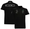 Nouveaux polos F1 Formula 1 Racing T-shirts Team Lapel Fans de voiture à manches courtes T-shirt surdimensionné Été Respirant Motocross Jerse266Z