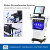 Équipement de beauté 14 en 1 Machine de beauté verticale Hydrafacial Hydro Facial Diamond Peel Hydra Dermabrasion Machine Water Jet Aqua Facials