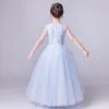 소녀의 드레스 꽃 공식 소녀 드레스 여자 결혼식 파티 옷 밝은 푸른 얇은 명주이 어린이 침례 공주 친교 가운