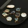 Charms Natural Abalone Conector Conector Moda Coração Quadrado Disco redondo Disco Oval Pingente para Mulheres Jóias MakingCharms