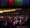 LED Foam Stick Colorful Flashing Batons Red Green Blue Light Up Sticks Festival Party Decoration Concert Prop9536135