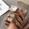 Relógio feminino Caixa de aço inoxidável Caixa serpentina Movimento de quartzo 32 mm